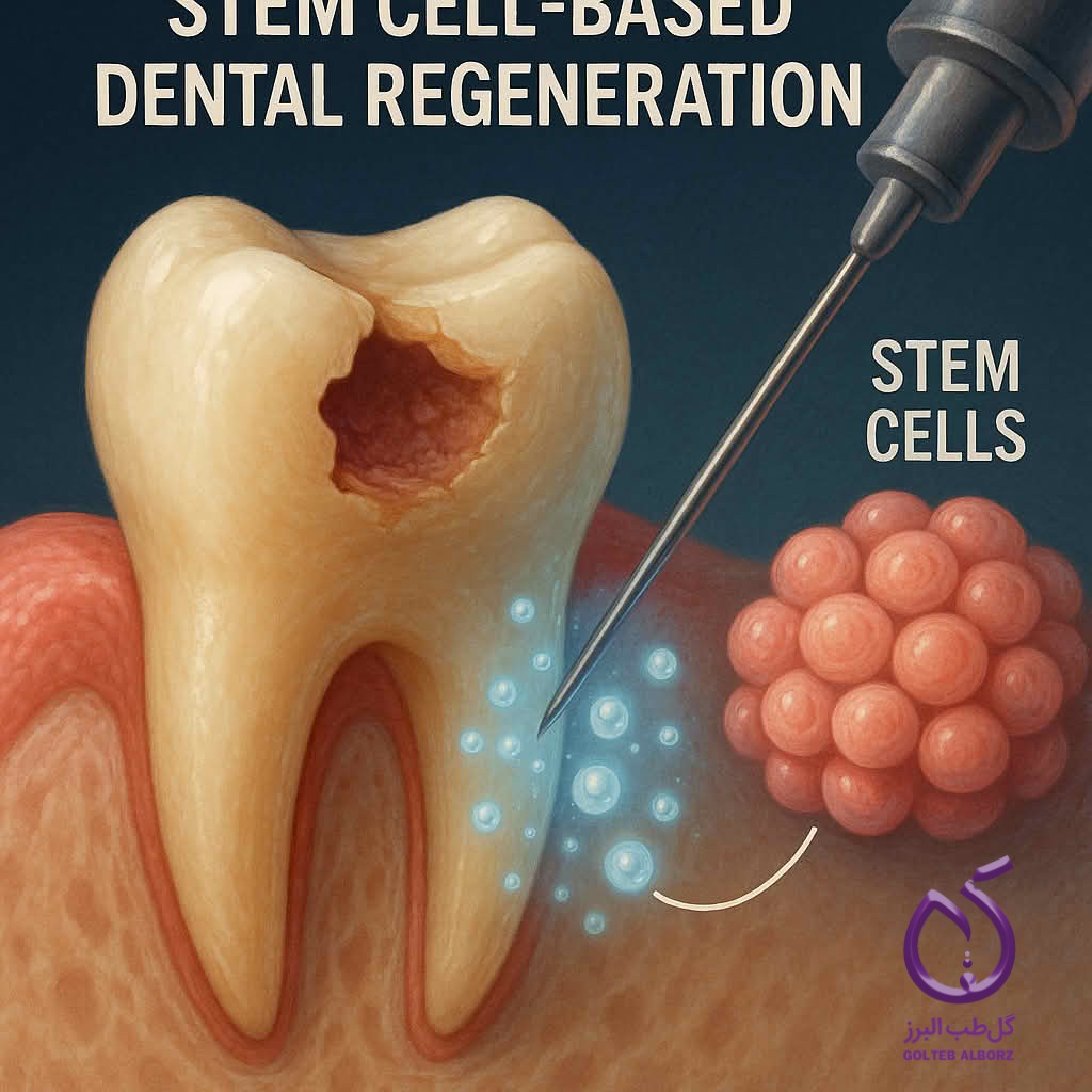 استفاده از سلول های بنیادی در بازسازی و ترمیم دندانها