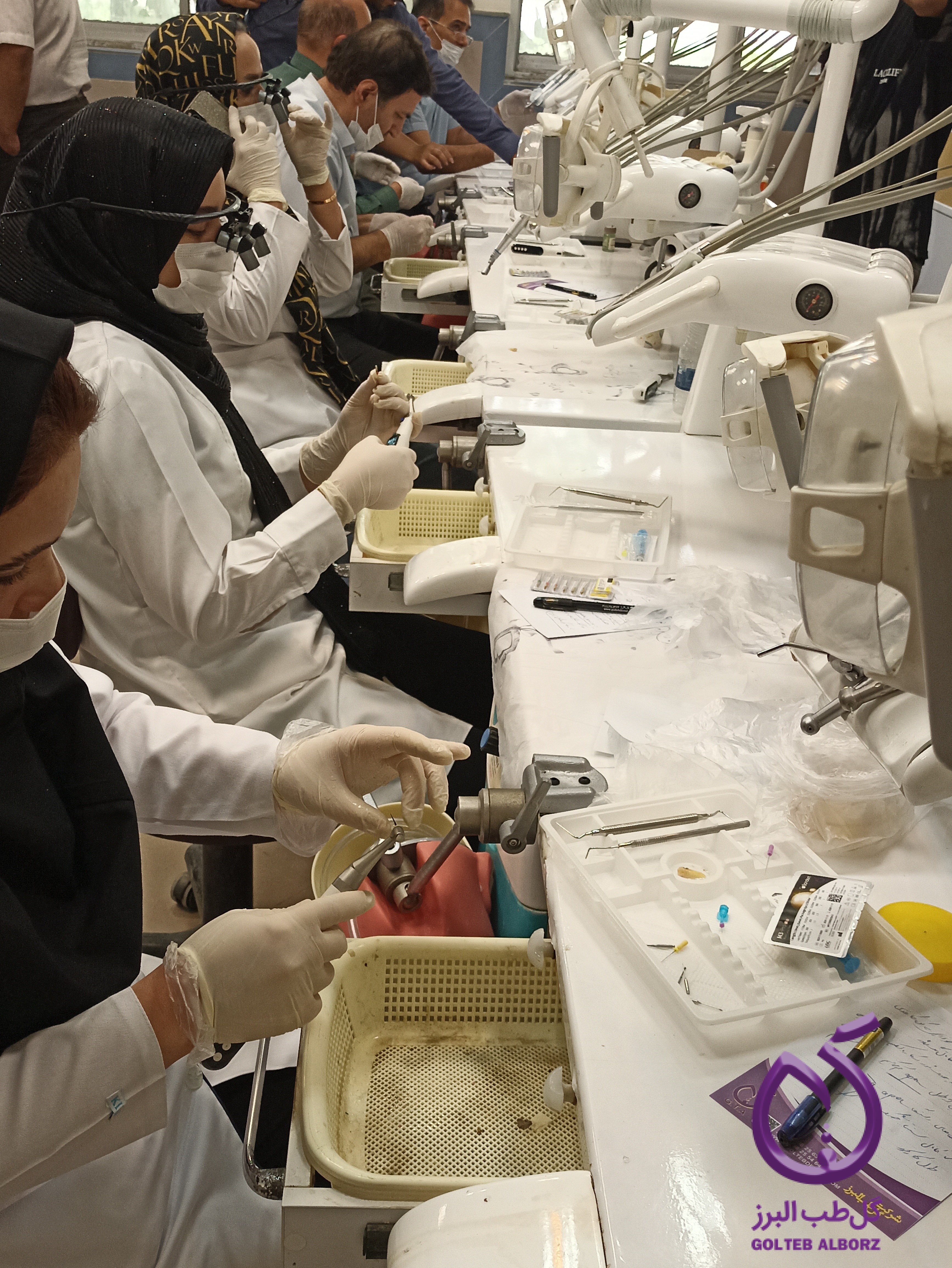 کارگاه آموزشی اندو در دانشکده دندانپزشکی کاشان با اسپانسری گل طب البرز