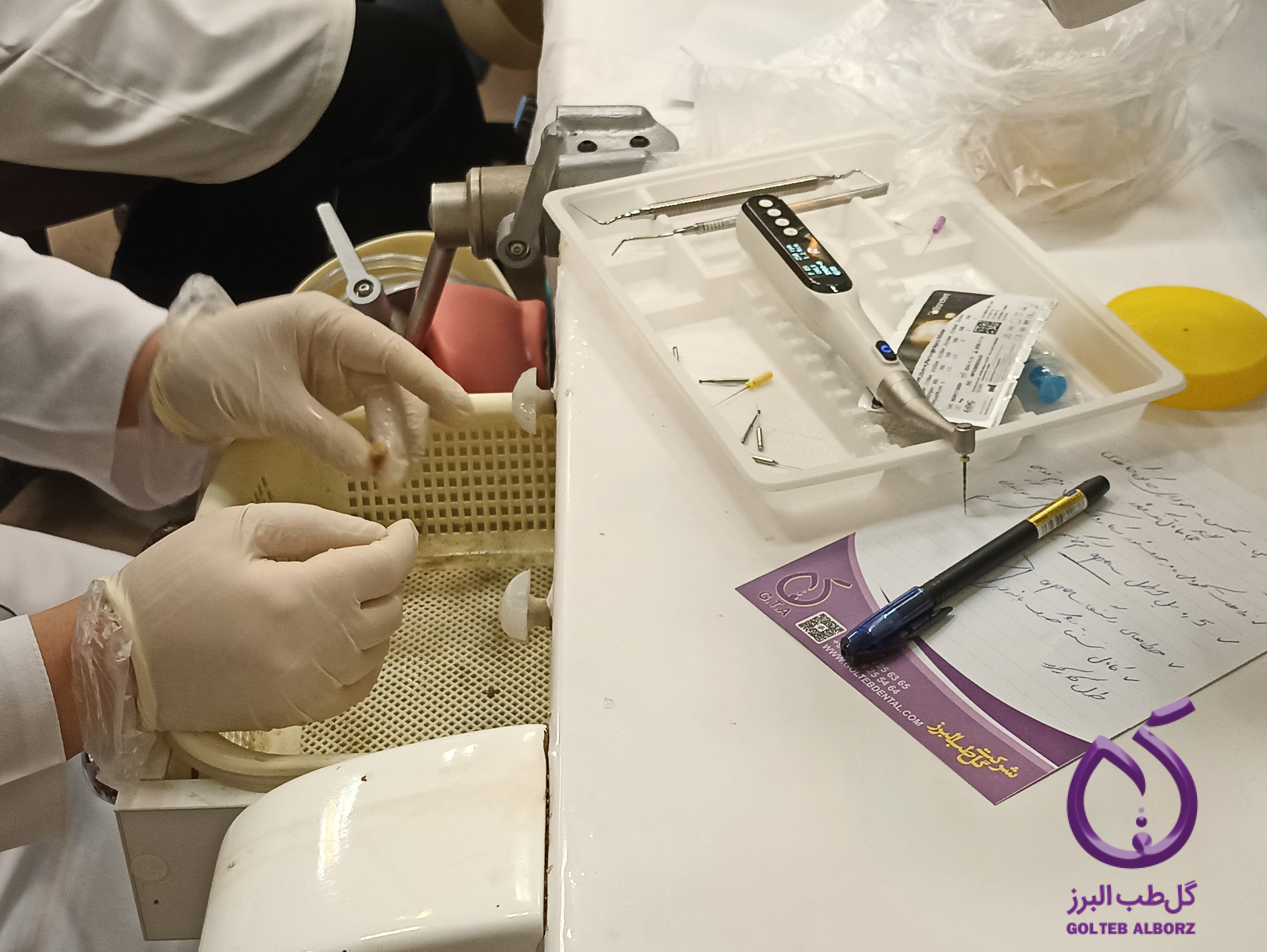 کارگاه آموزشی اندو در دانشکده دندانپزشکی کاشان با اسپانسری گل طب البرز